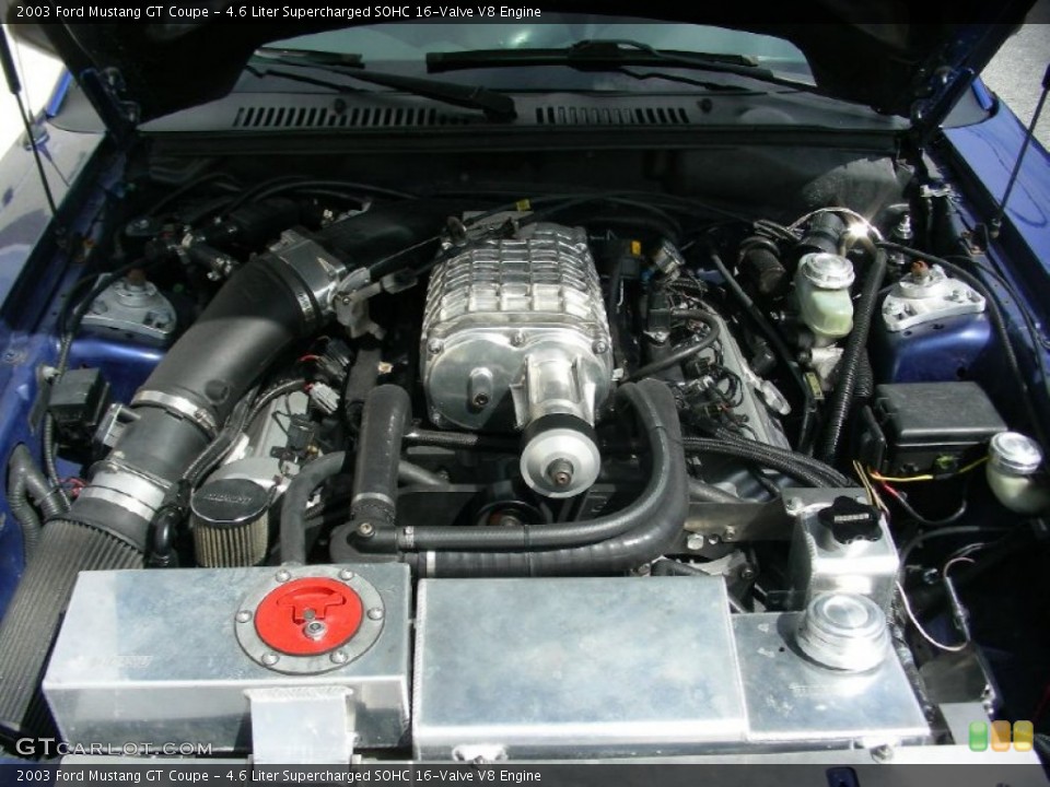 4.6 Liter Supercharged SOHC 16-Valve V8 Engine for the 2003 Ford Mustang #62260576