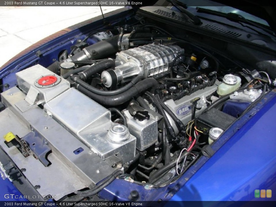 4.6 Liter Supercharged SOHC 16-Valve V8 Engine for the 2003 Ford Mustang #62260585