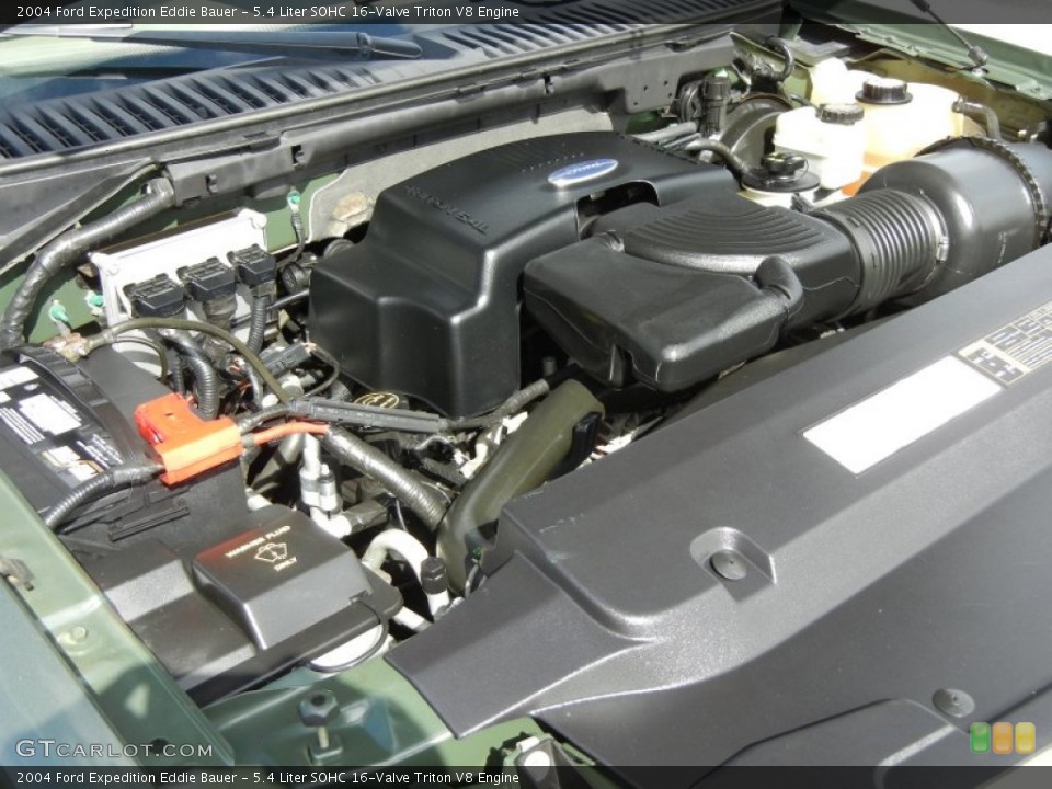 5.4 Liter SOHC 16-Valve Triton V8 Engine for the 2004 Ford Expedition #62660001