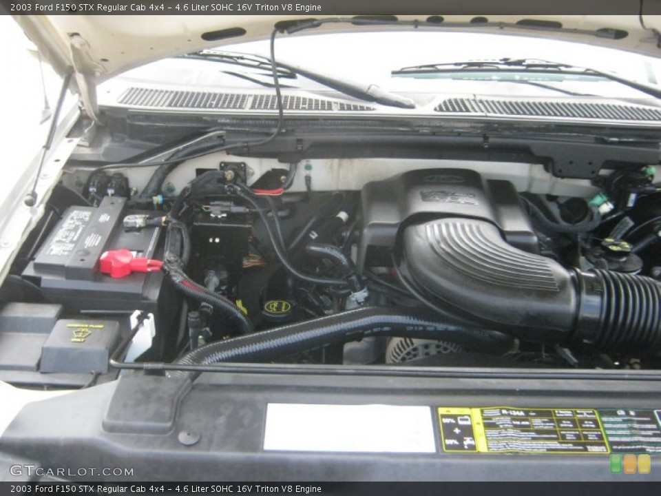 4.6 Liter SOHC 16V Triton V8 Engine for the 2003 Ford F150 #63087413