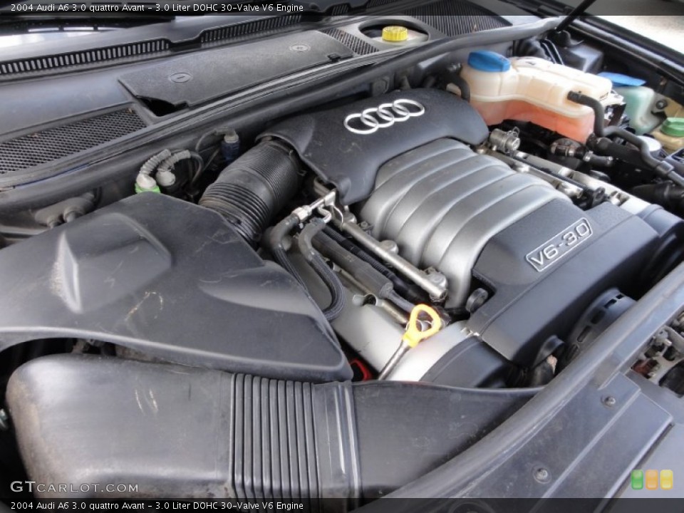 3.0 Liter DOHC 30-Valve V6 Engine for the 2004 Audi A6 #63653737