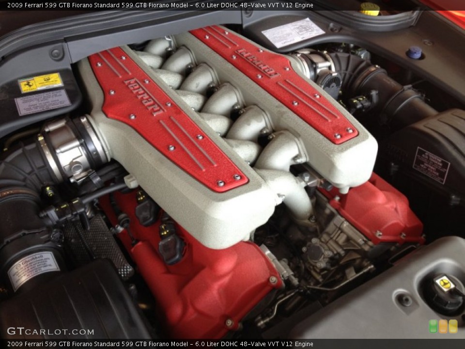 6.0 Liter DOHC 48-Valve VVT V12 Engine for the 2009 Ferrari 599 GTB Fiorano #64710546