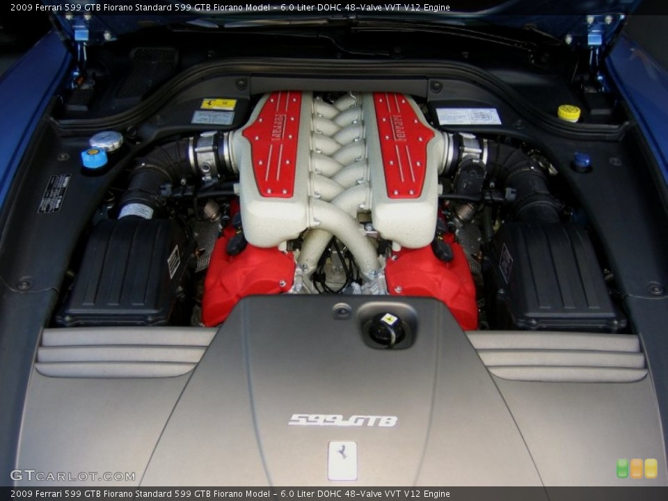 6.0 Liter DOHC 48-Valve VVT V12 Engine for the 2009 Ferrari 599 GTB Fiorano #64713846