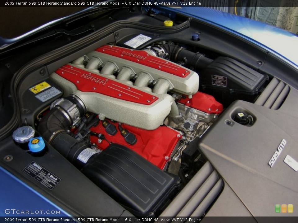 6.0 Liter DOHC 48-Valve VVT V12 Engine for the 2009 Ferrari 599 GTB Fiorano #64713855