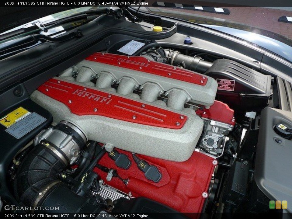 6.0 Liter DOHC 48-Valve VVT V12 Engine for the 2009 Ferrari 599 GTB Fiorano #64792761