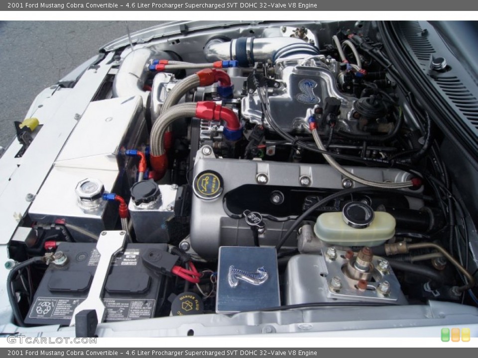 4.6 Liter Procharger Supercharged SVT DOHC 32-Valve V8 Engine for the 2001 Ford Mustang #65132922