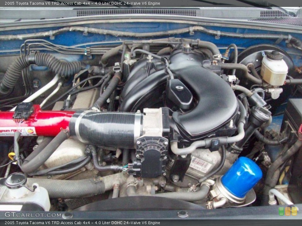 4.0 Liter DOHC 24-Valve V6 Engine for the 2005 Toyota Tacoma #65506082