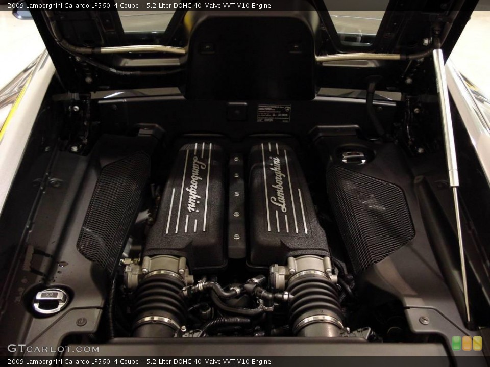 5.2 Liter DOHC 40-Valve VVT V10 Engine for the 2009 Lamborghini Gallardo #6572160