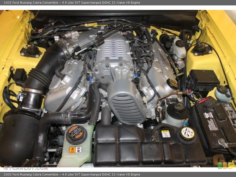 4.6 Liter SVT Supercharged DOHC 32-Valve V8 Engine for the 2003 Ford Mustang #67700218