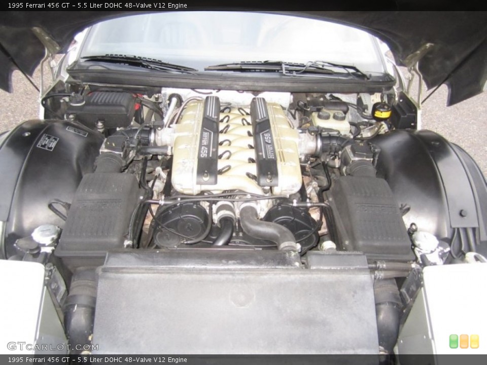 5.5 Liter DOHC 48-Valve V12 Engine for the 1995 Ferrari 456 #68022581