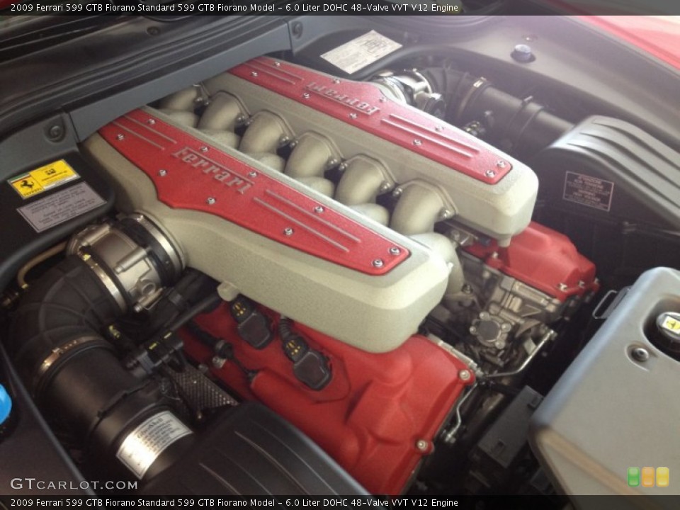 6.0 Liter DOHC 48-Valve VVT V12 Engine for the 2009 Ferrari 599 GTB Fiorano #68110733