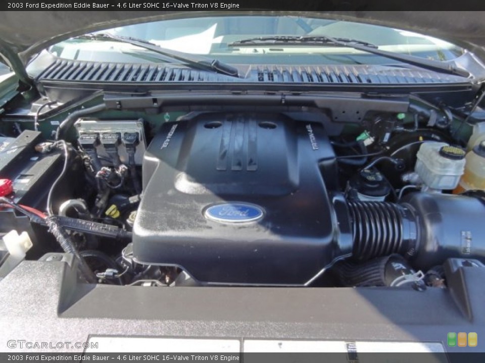 4.6 Liter SOHC 16-Valve Triton V8 Engine for the 2003 Ford Expedition #68665555