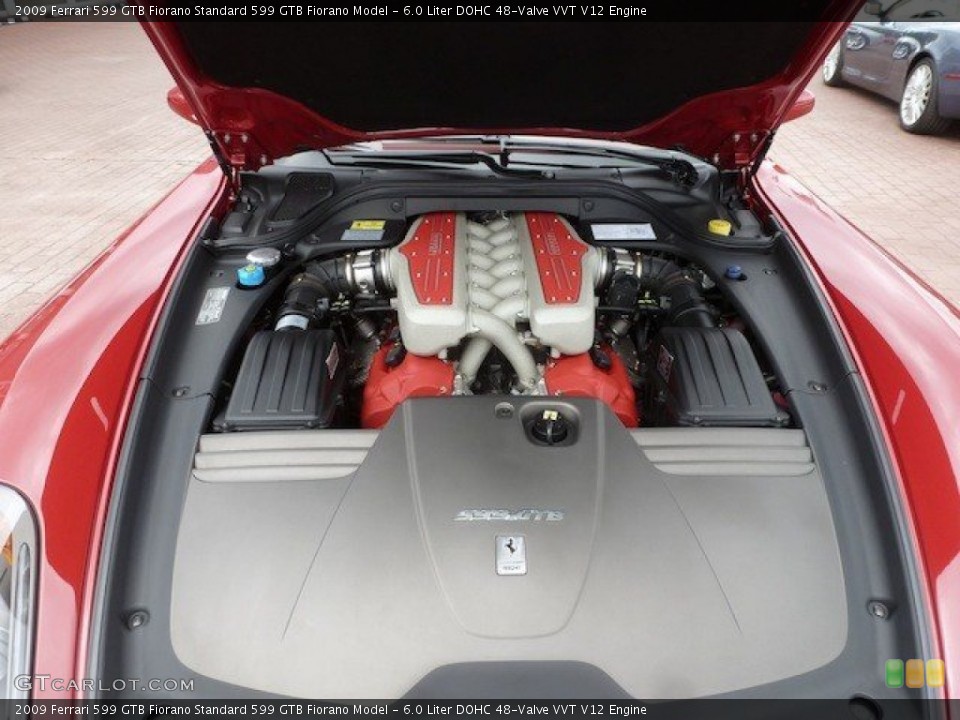 6.0 Liter DOHC 48-Valve VVT V12 Engine for the 2009 Ferrari 599 GTB Fiorano #68764477