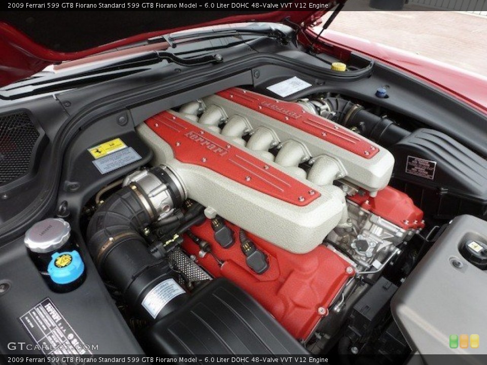 6.0 Liter DOHC 48-Valve VVT V12 Engine for the 2009 Ferrari 599 GTB Fiorano #68764486