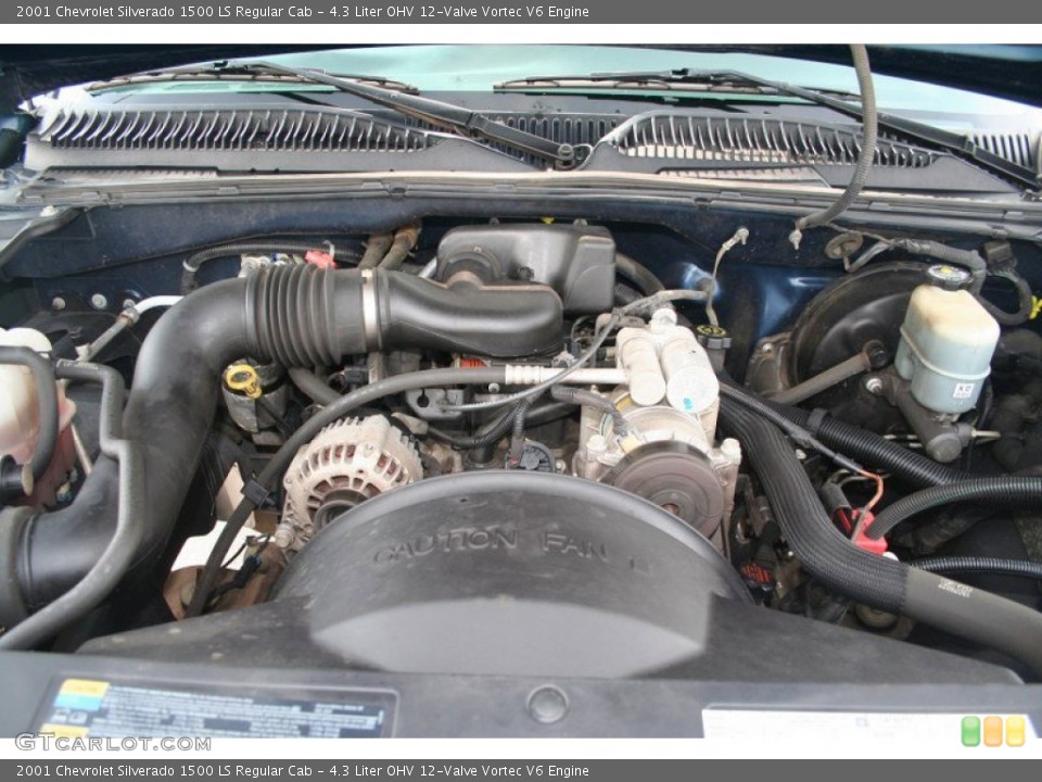 4.3 Liter OHV 12-Valve Vortec V6 Engine for the 2001 Chevrolet Silverado 1500 #69424762