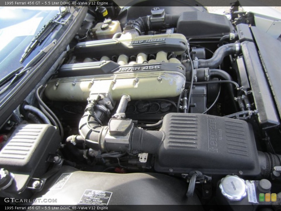 5.5 Liter DOHC 48-Valve V12 Engine for the 1995 Ferrari 456 #70004445