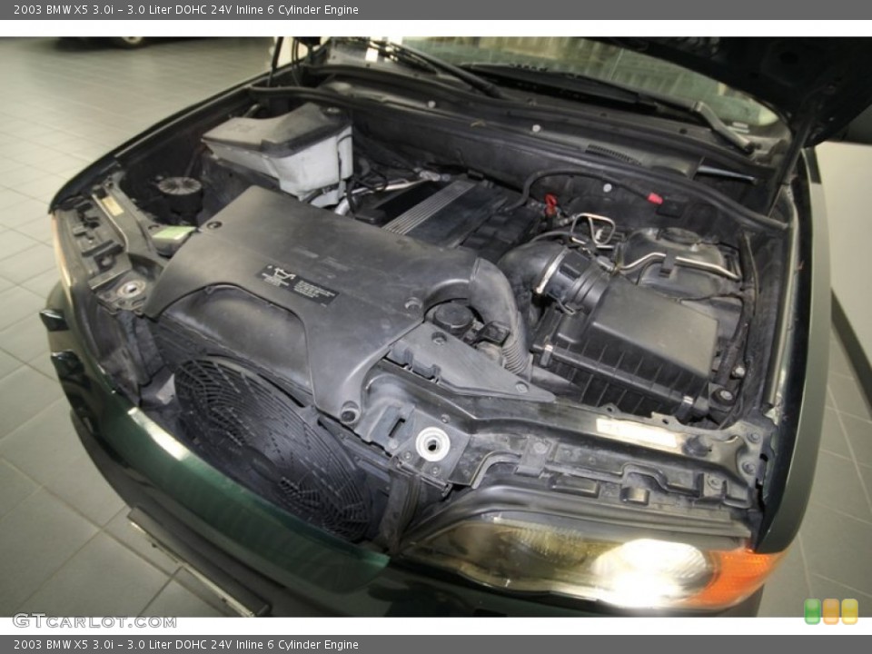 3.0 Liter DOHC 24V Inline 6 Cylinder Engine for the 2003 BMW X5 #70320072