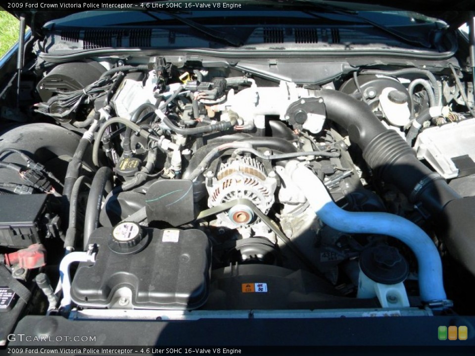 4.6 Liter SOHC 16-Valve V8 Engine for the 2009 Ford Crown Victoria #70557622