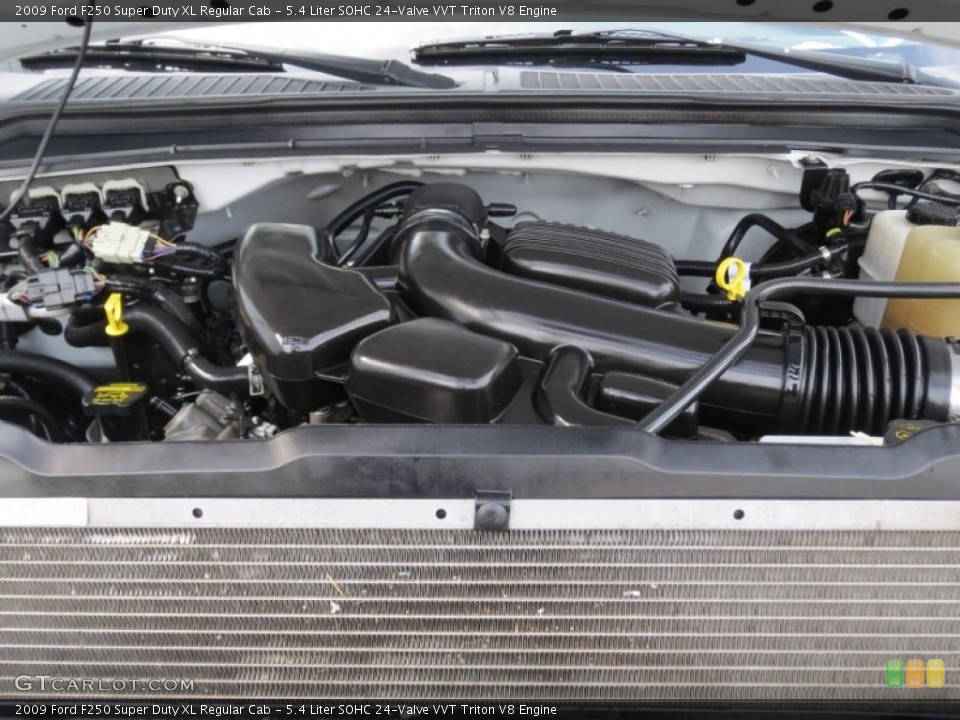 5.4 Liter SOHC 24-Valve VVT Triton V8 Engine for the 2009 Ford F250 Super Duty #71413952