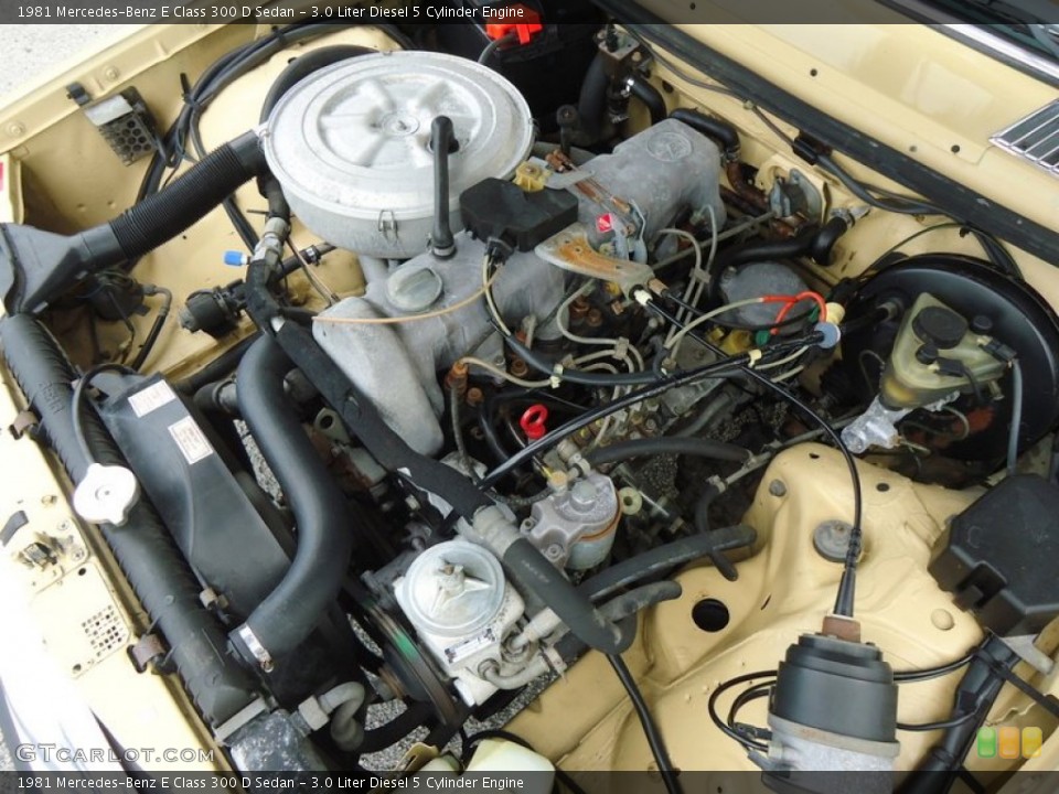 3.0 Liter Diesel 5 Cylinder Engine for the 1981 Mercedes-Benz E Class #72453035