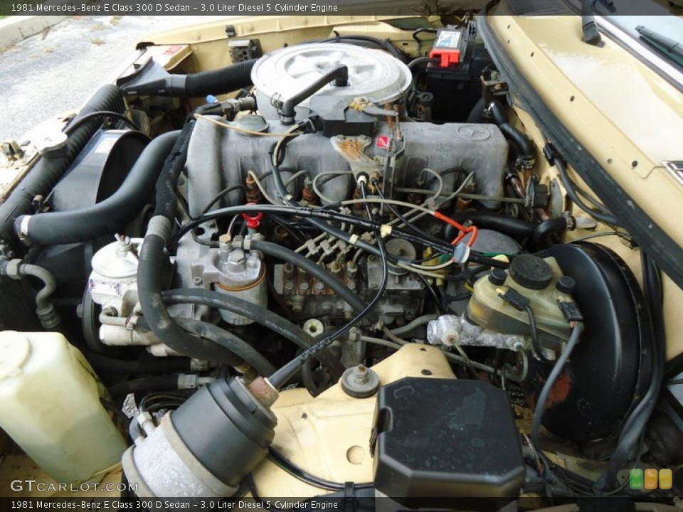 3.0 Liter Diesel 5 Cylinder Engine for the 1981 Mercedes-Benz E Class #72453062