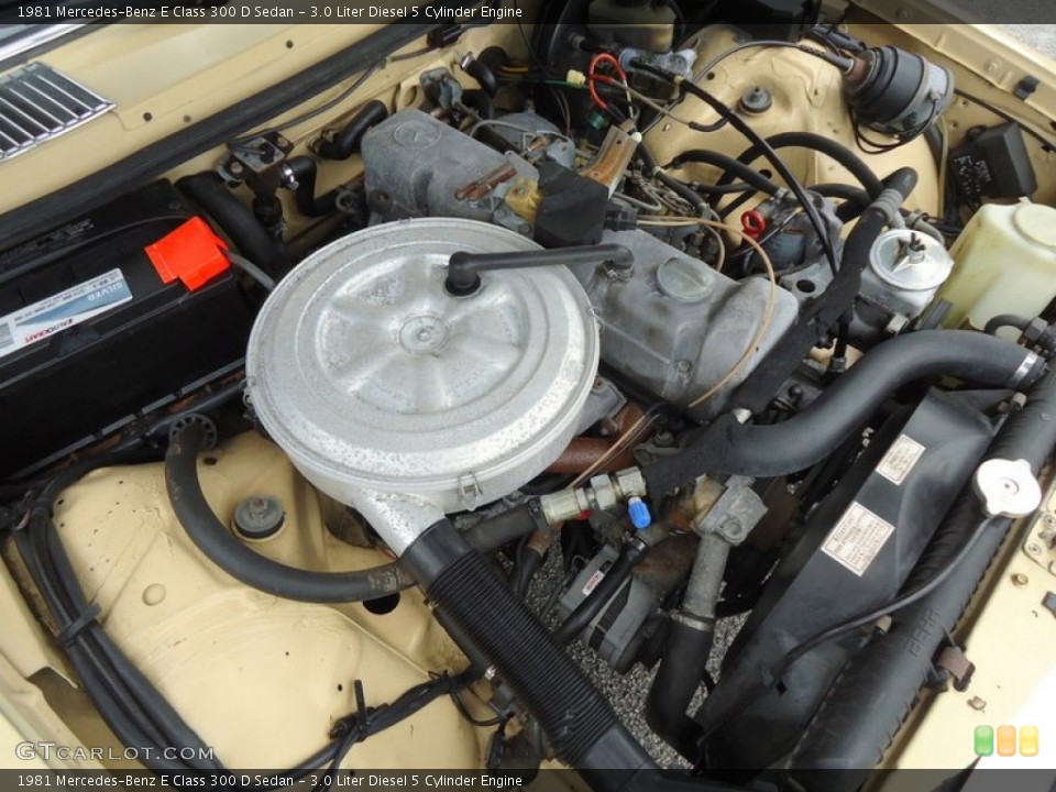 3.0 Liter Diesel 5 Cylinder Engine for the 1981 Mercedes-Benz E Class #72453107