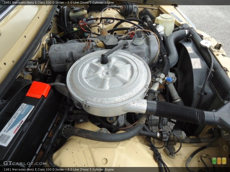 3.0 Liter Diesel 5 Cylinder Engine for the 1981 Mercedes-Benz E Class #72453128