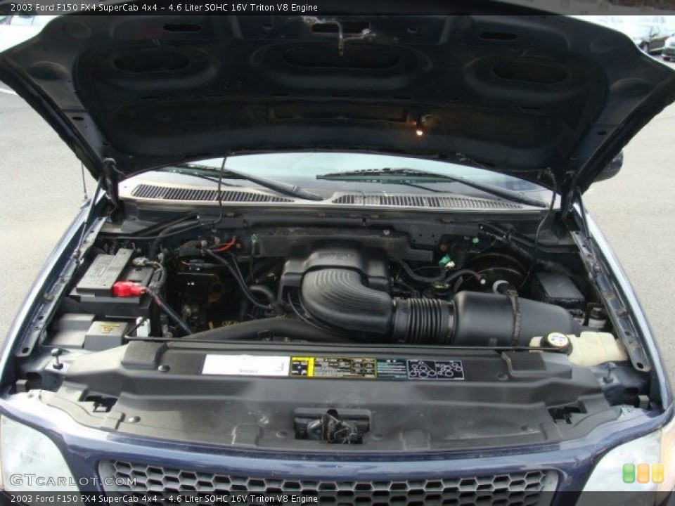 4.6 Liter SOHC 16V Triton V8 2003 Ford F150 Engine