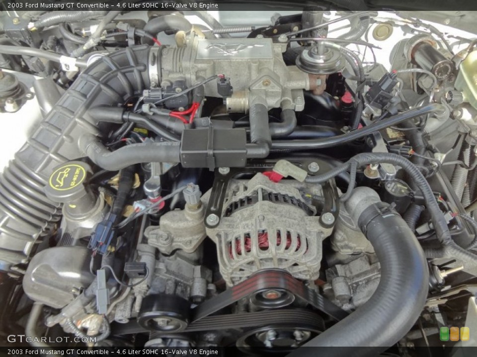 4.6 Liter SOHC 16-Valve V8 Engine for the 2003 Ford Mustang #74295706