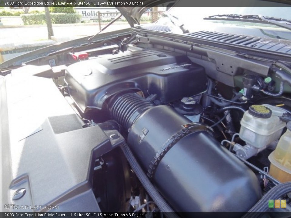 4.6 Liter SOHC 16-Valve Triton V8 Engine for the 2003 Ford Expedition #74597774