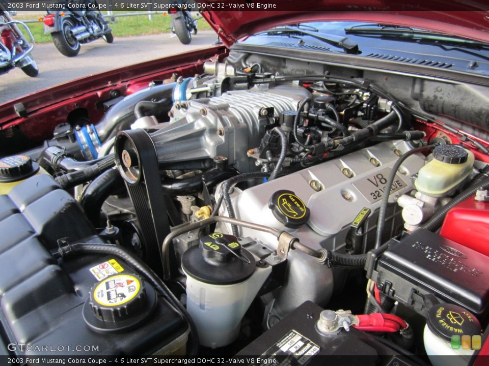 4.6 Liter SVT Supercharged DOHC 32-Valve V8 Engine for the 2003 Ford Mustang #74979267