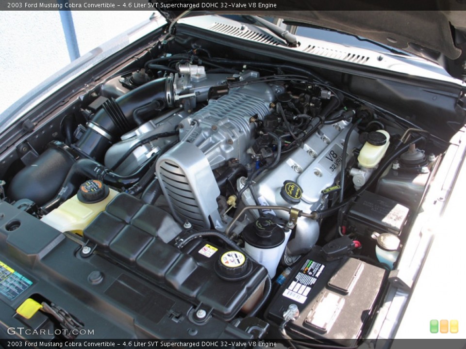 4.6 Liter SVT Supercharged DOHC 32-Valve V8 2003 Ford Mustang Engine