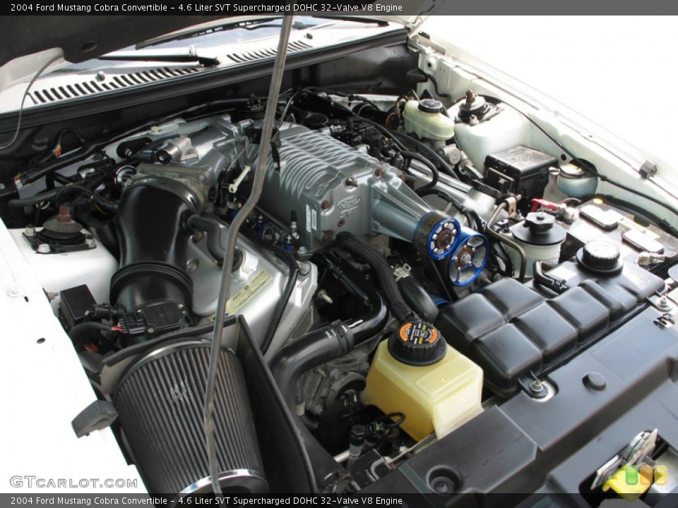 4.6 Liter SVT Supercharged DOHC 32-Valve V8 2004 Ford Mustang Engine