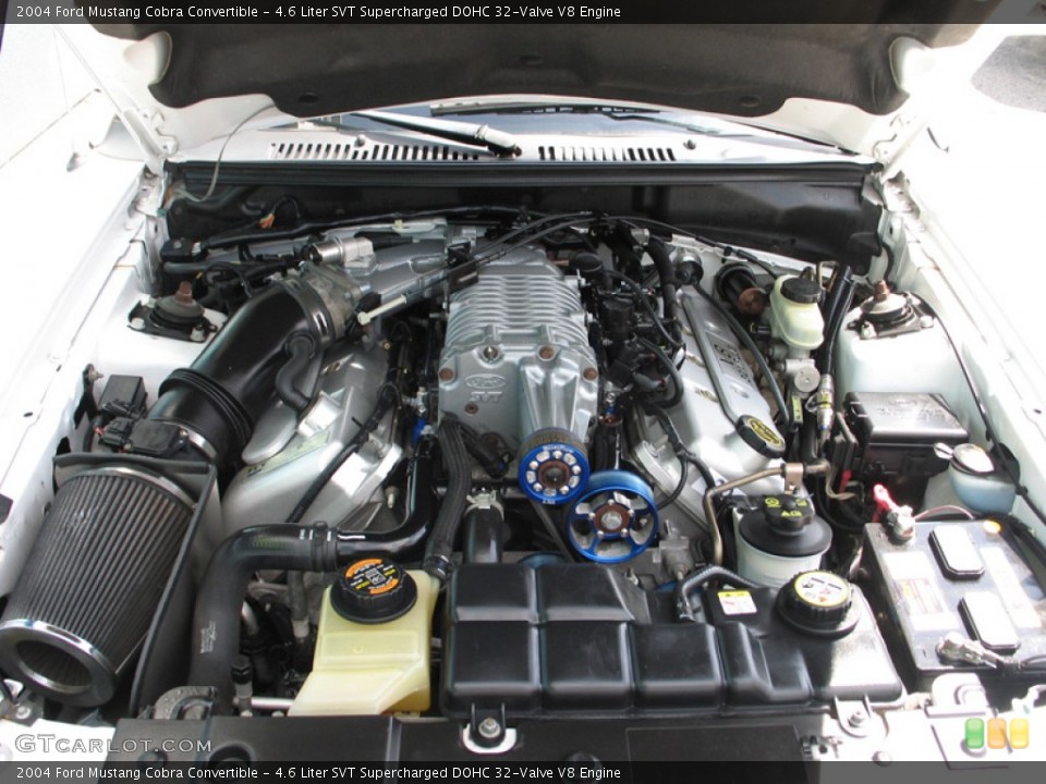 4.6 Liter SVT Supercharged DOHC 32-Valve V8 Engine for the 2004 Ford Mustang #74984764