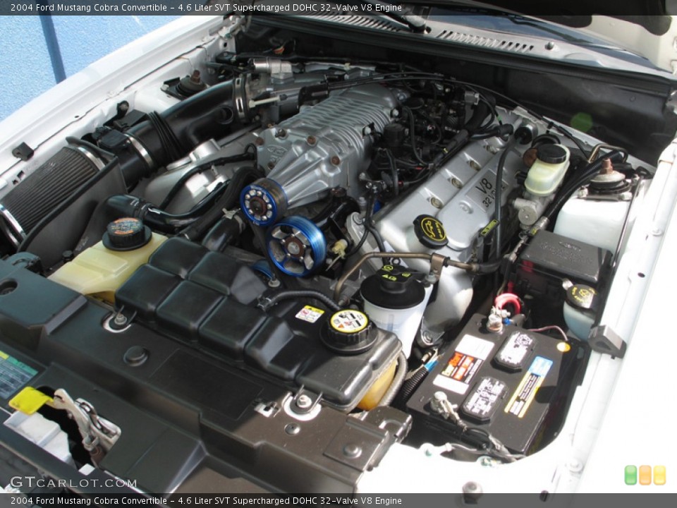 4.6 Liter SVT Supercharged DOHC 32-Valve V8 Engine for the 2004 Ford Mustang #74984785