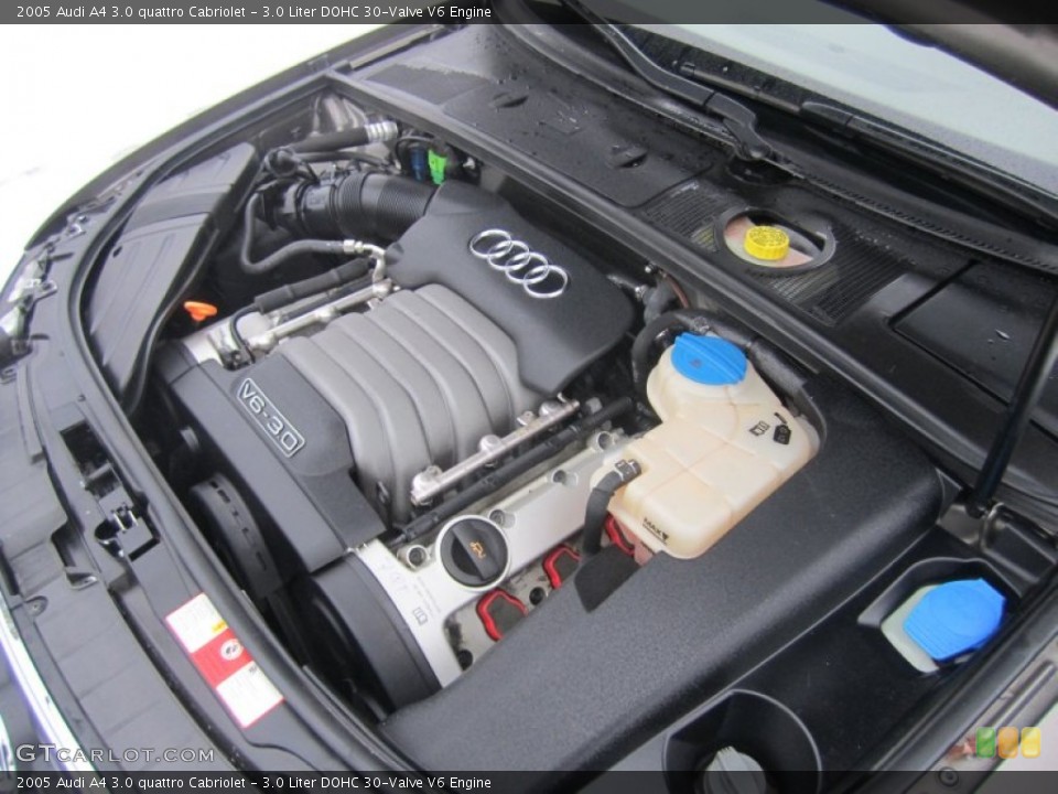 3.0 Liter DOHC 30-Valve V6 Engine for the 2005 Audi A4 #75220977