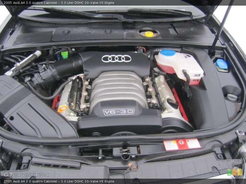 3.0 Liter DOHC 30-Valve V6 Engine for the 2005 Audi A4 #75260247