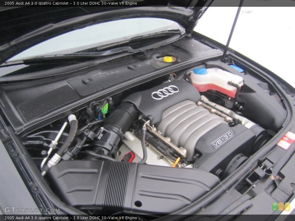 3.0 Liter DOHC 30-Valve V6 Engine for the 2005 Audi A4 #75260266