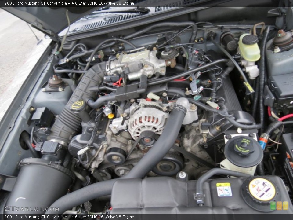 4.6 Liter SOHC 16-Valve V8 Engine for the 2001 Ford Mustang #75949117