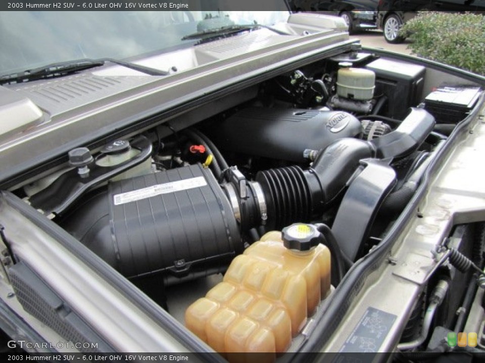 6.0 Liter OHV 16V Vortec V8 Engine for the 2003 Hummer H2 #76350115