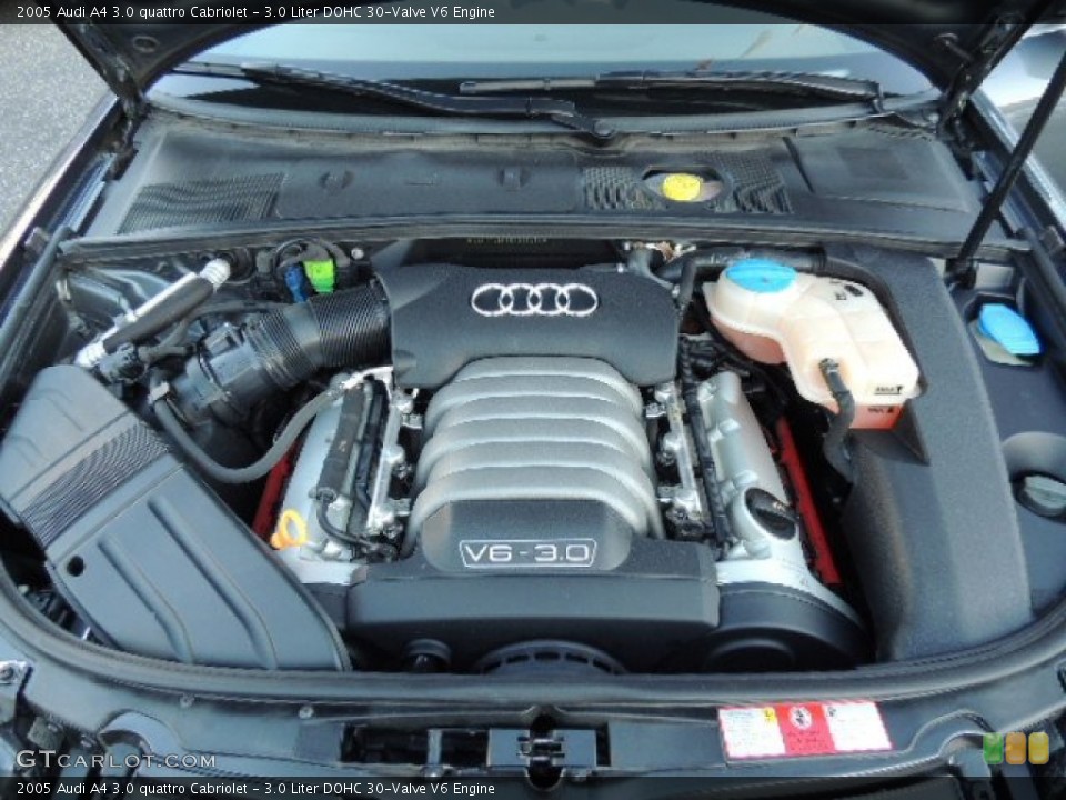 3.0 Liter DOHC 30-Valve V6 Engine for the 2005 Audi A4 #76396434