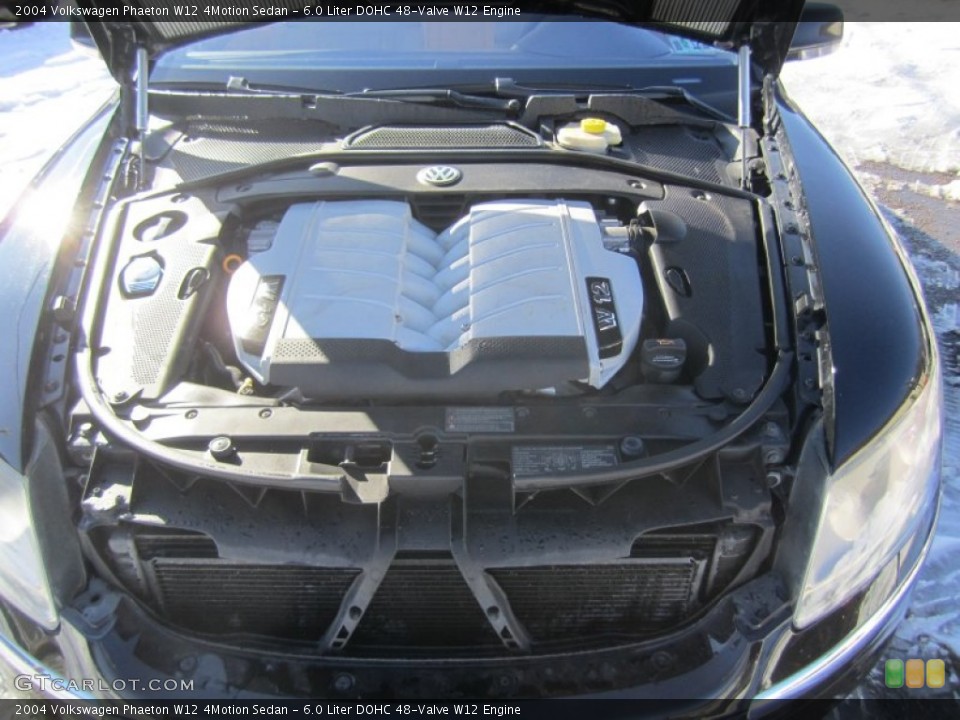 6.0 Liter DOHC 48-Valve W12 2004 Volkswagen Phaeton Engine