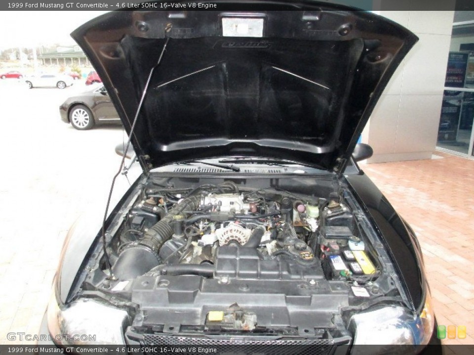 4.6 Liter SOHC 16-Valve V8 1999 Ford Mustang Engine