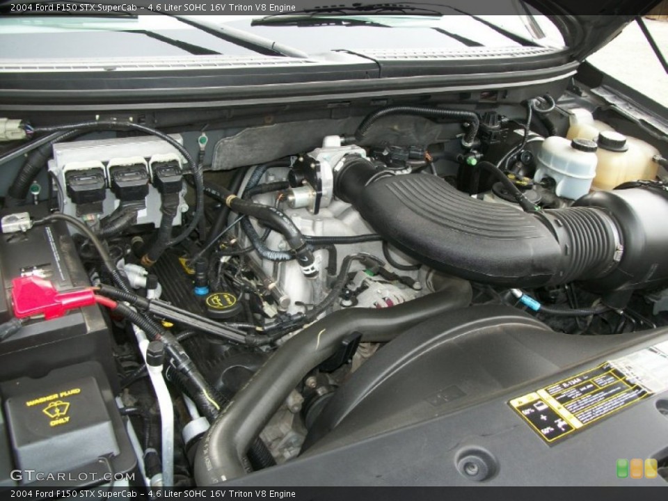 4.6 Liter SOHC 16V Triton V8 Engine for the 2004 Ford F150 #77384238