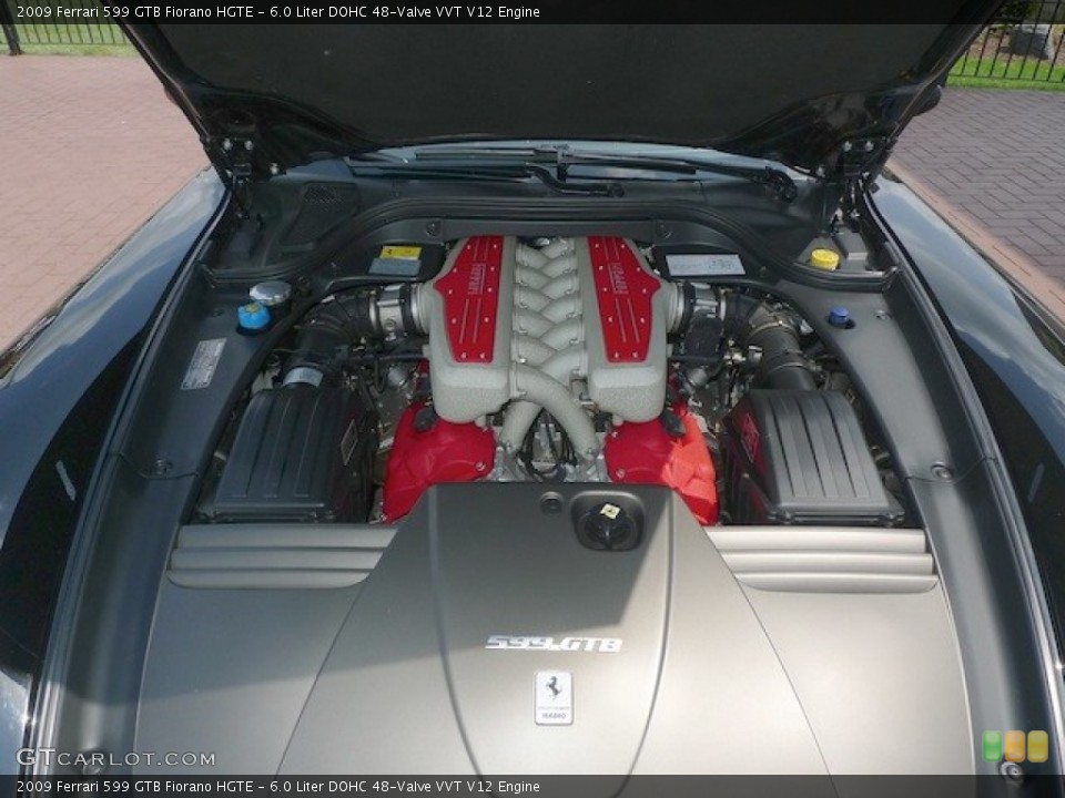 6.0 Liter DOHC 48-Valve VVT V12 Engine for the 2009 Ferrari 599 GTB Fiorano #77845941