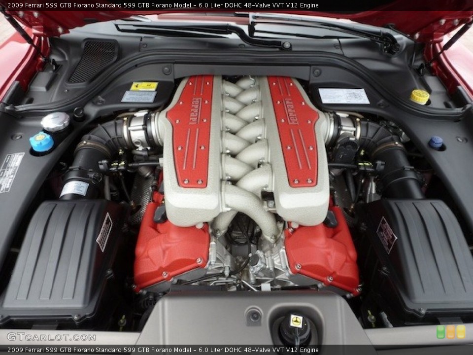 6.0 Liter DOHC 48-Valve VVT V12 Engine for the 2009 Ferrari 599 GTB Fiorano #77854726