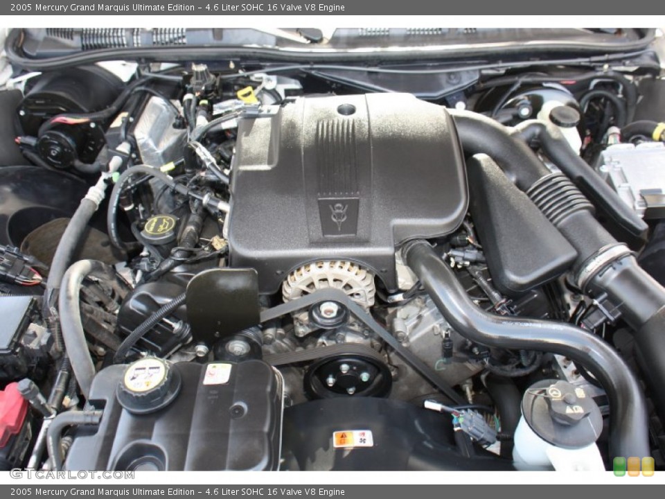 4.6 Liter SOHC 16 Valve V8 Engine for the 2005 Mercury Grand Marquis #77955104