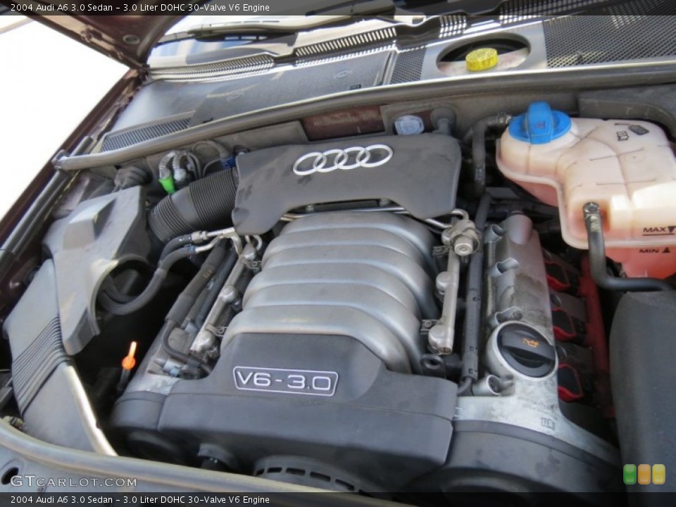 3.0 Liter DOHC 30-Valve V6 Engine for the 2004 Audi A6 #77960166