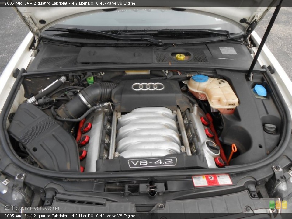 4.2 Liter DOHC 40-Valve V8 2005 Audi S4 Engine