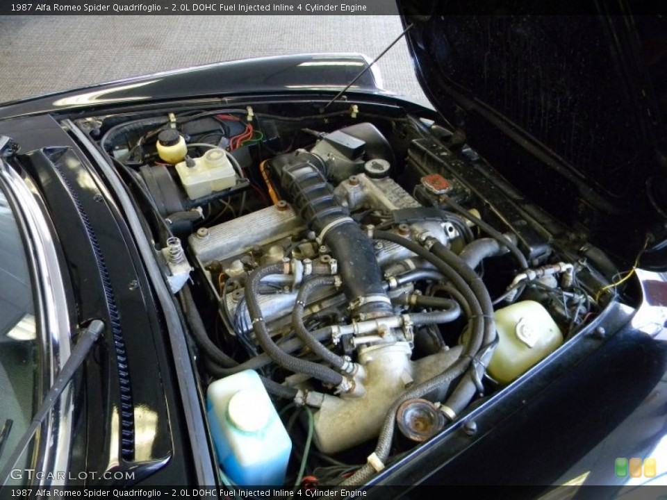 2.0L DOHC Fuel Injected Inline 4 Cylinder 1987 Alfa Romeo Spider Engine